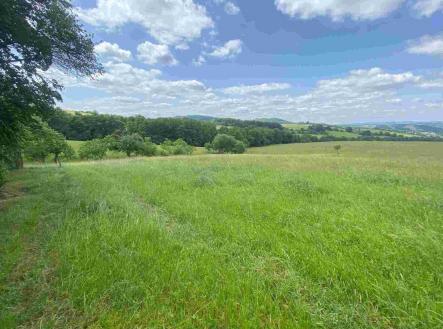 Prodej - pozemek, zemědělská půda, 728 m² obrázek