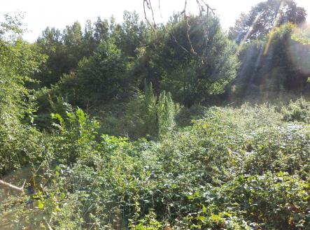 Prodej pozemku, zemědělská půda, 14 517 m²