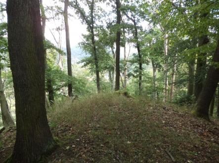 Prodej pozemku, zemědělská půda, 14 517 m²