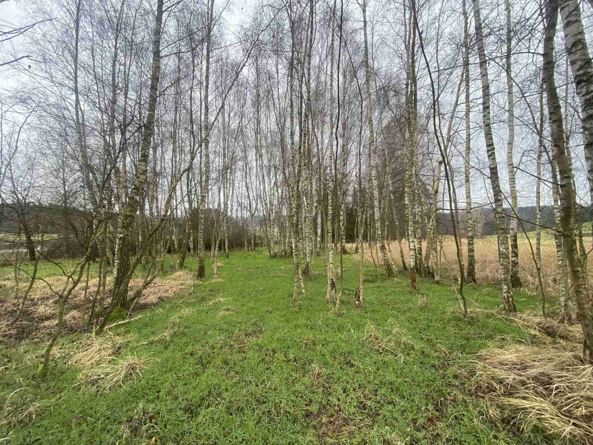 Prodej pozemků Dobřejovice u Hosína