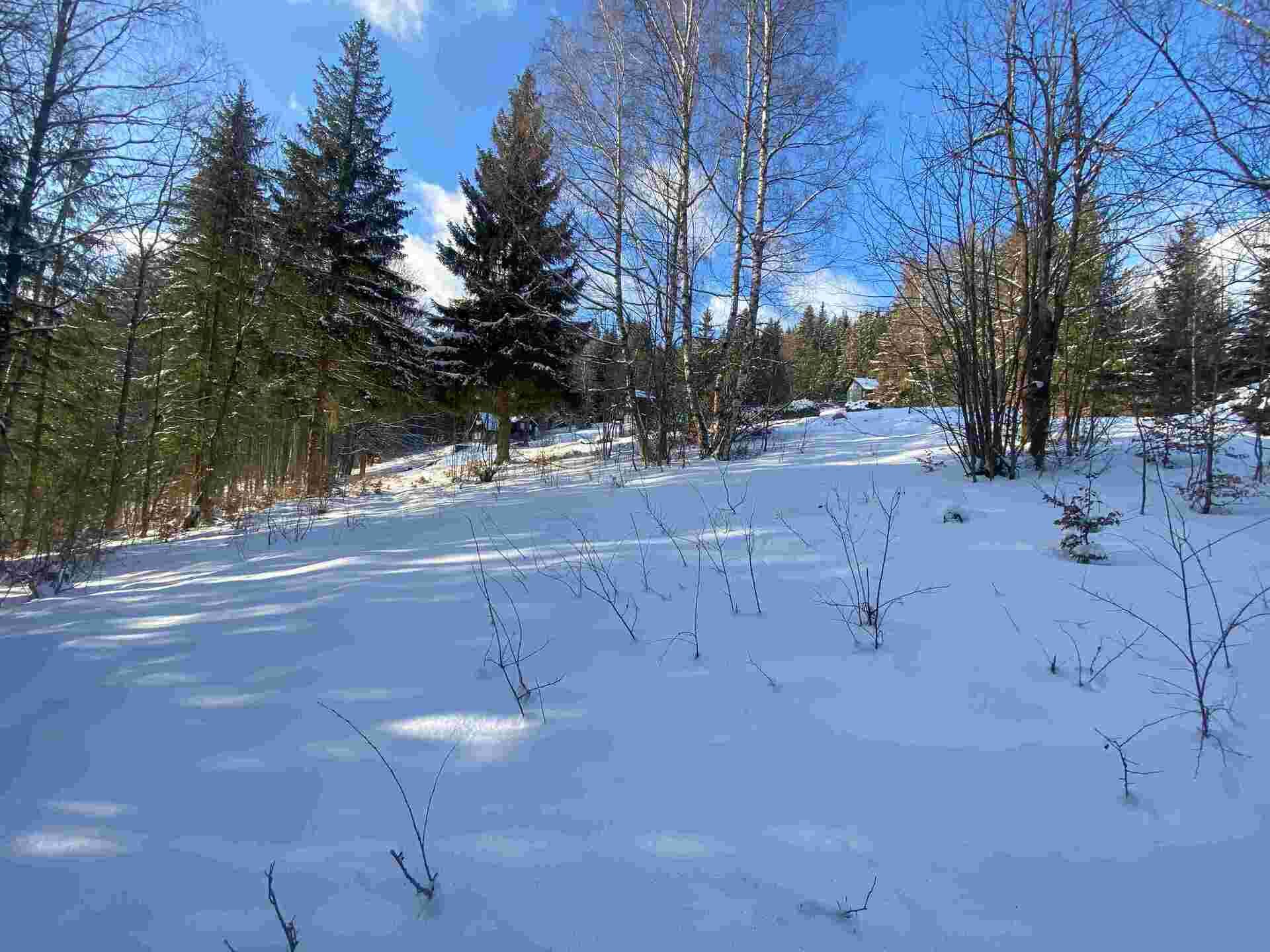 prodej pozemku k.ú. Albrechtice v Jizerských horách