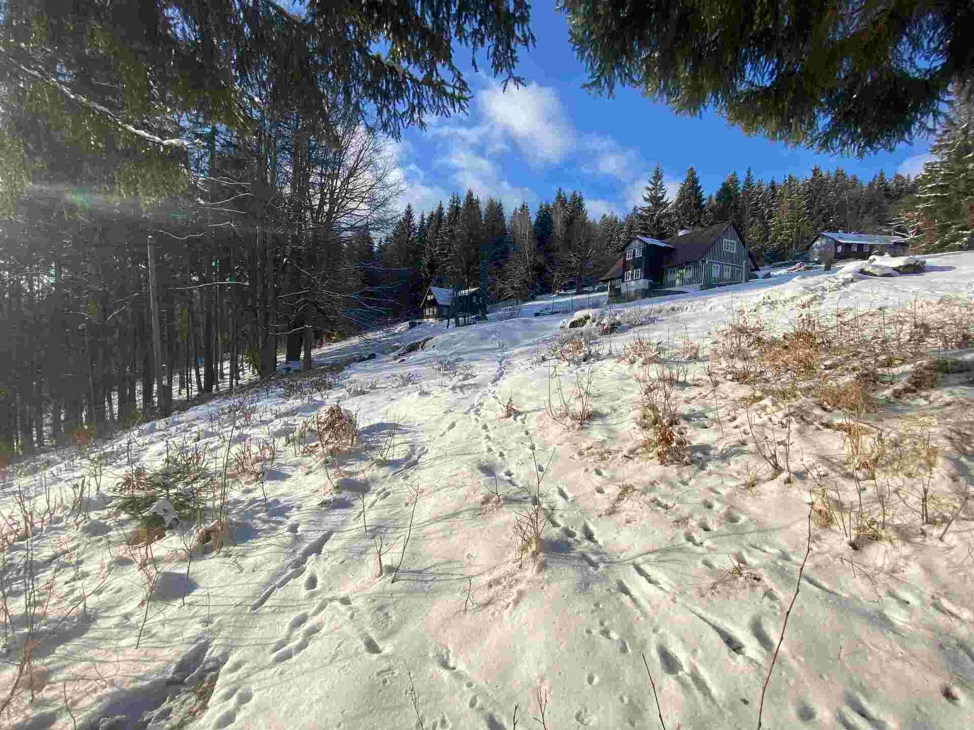 prodej pozemku k.ú. Albrechtice v Jizerských horách