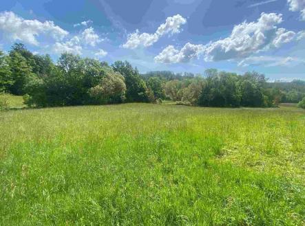 Prodej - pozemek, zemědělská půda, 872 m²