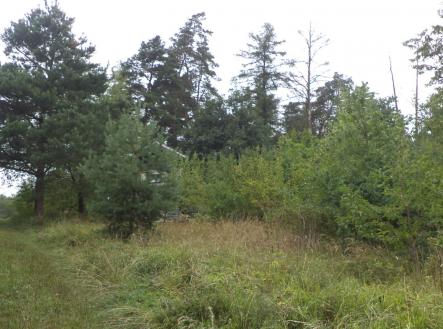 Prodej pozemku pro bydlení, 881 m²