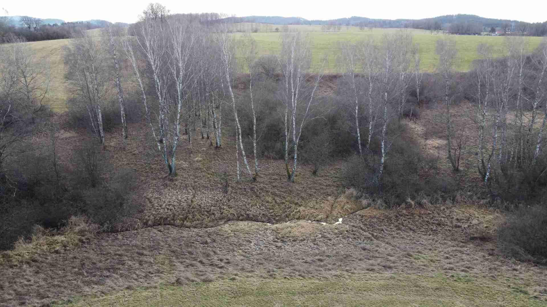 Prodej pozemků Trojany u Dolního Dvořiště