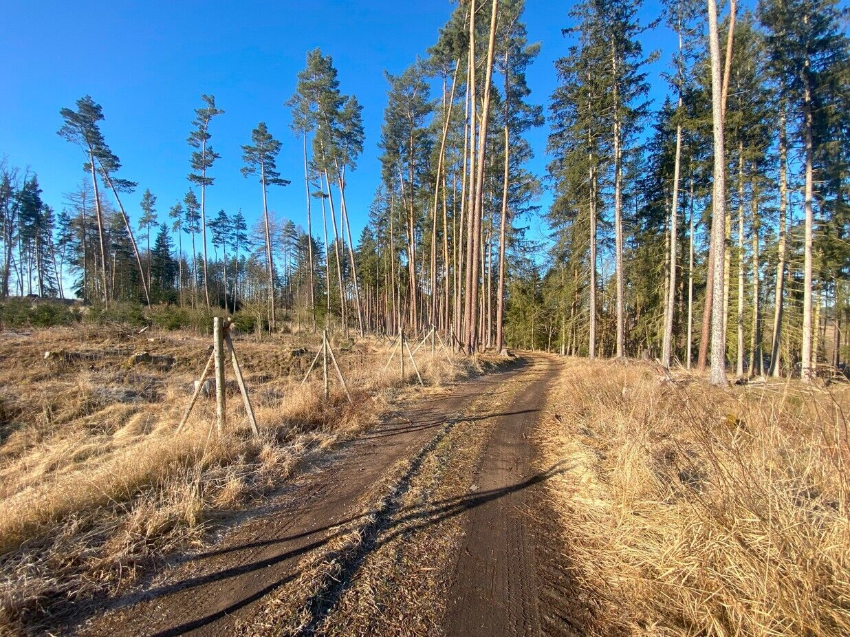 prodej pozemků k.ú. Klíčov
