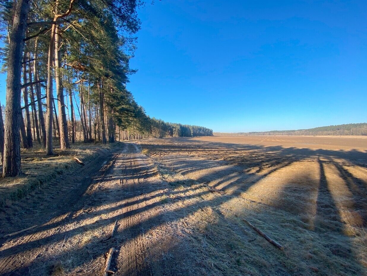 prodej pozemků k.ú. Klíčov