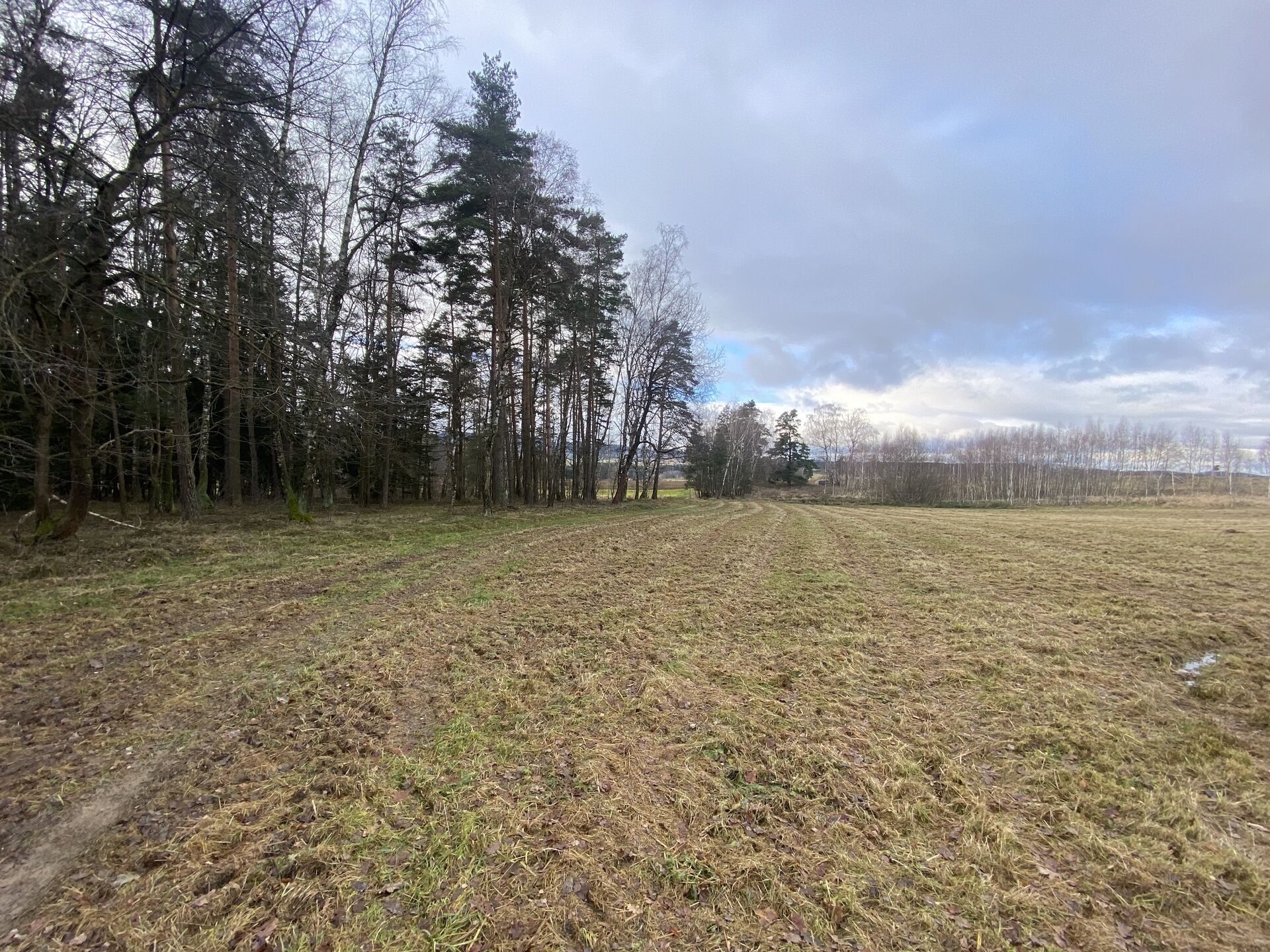 Prodej pozemků Pořešín