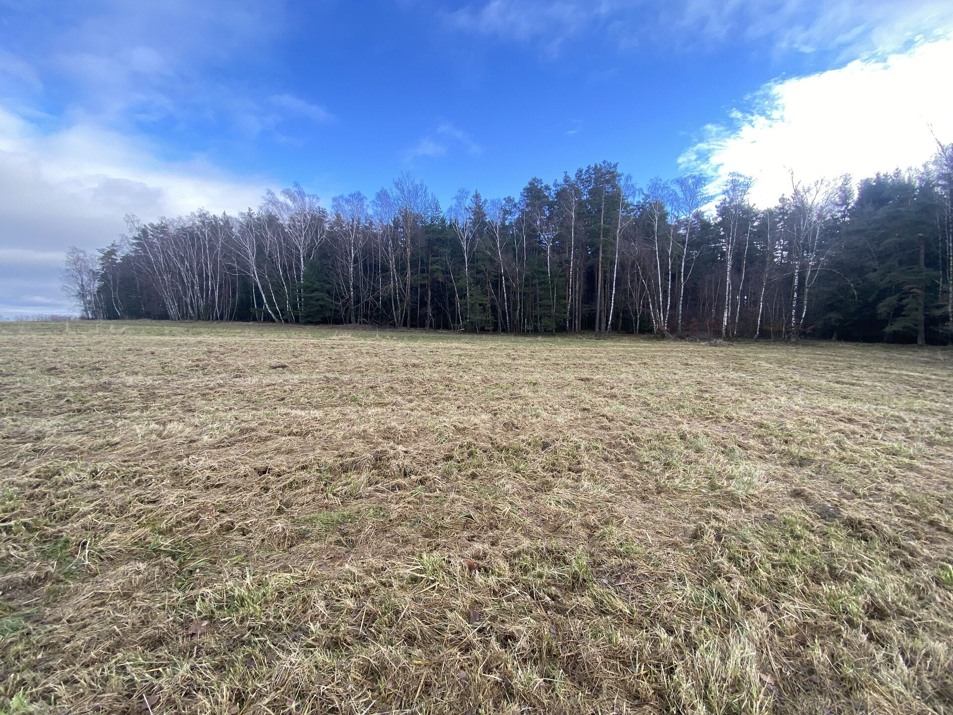 Prodej pozemků Pořešín