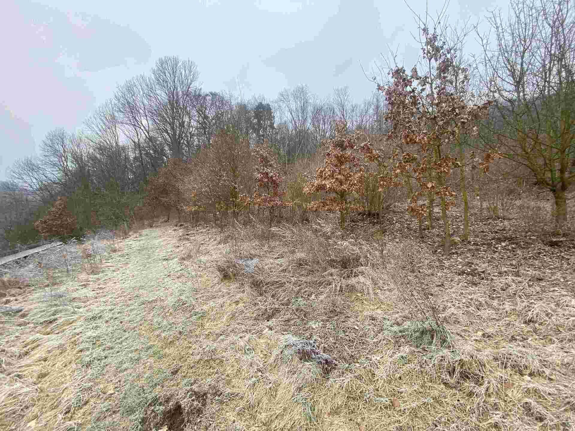 prodej pozemku k.ú. Ryjice