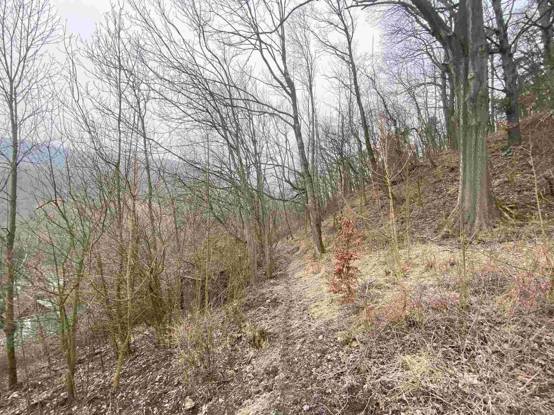 prodej pozemku k.ú. Ryjice