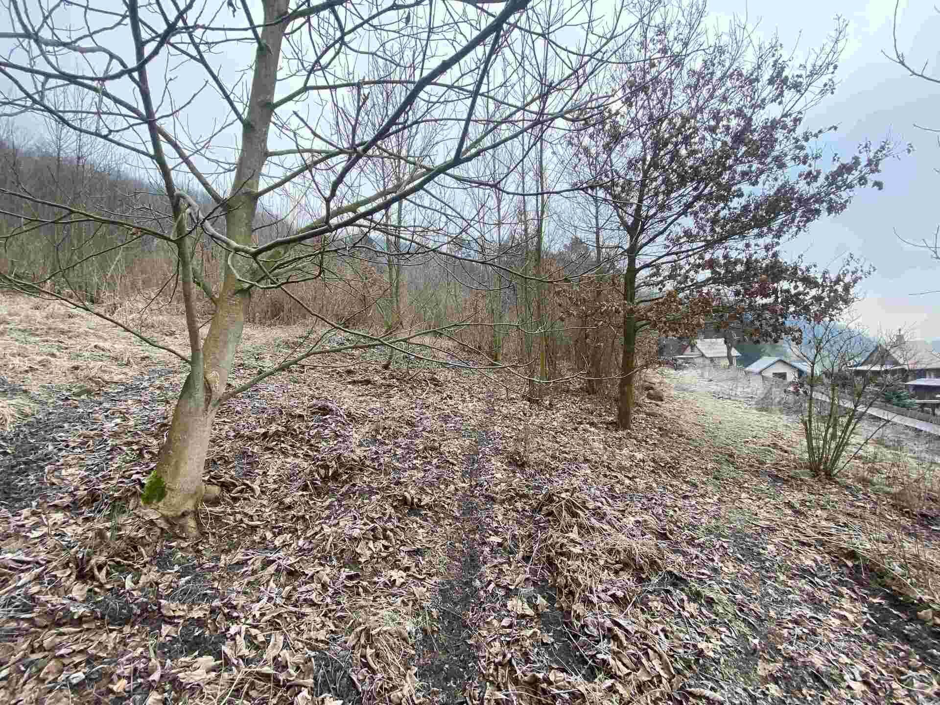 dražba pozemku Ryjice
