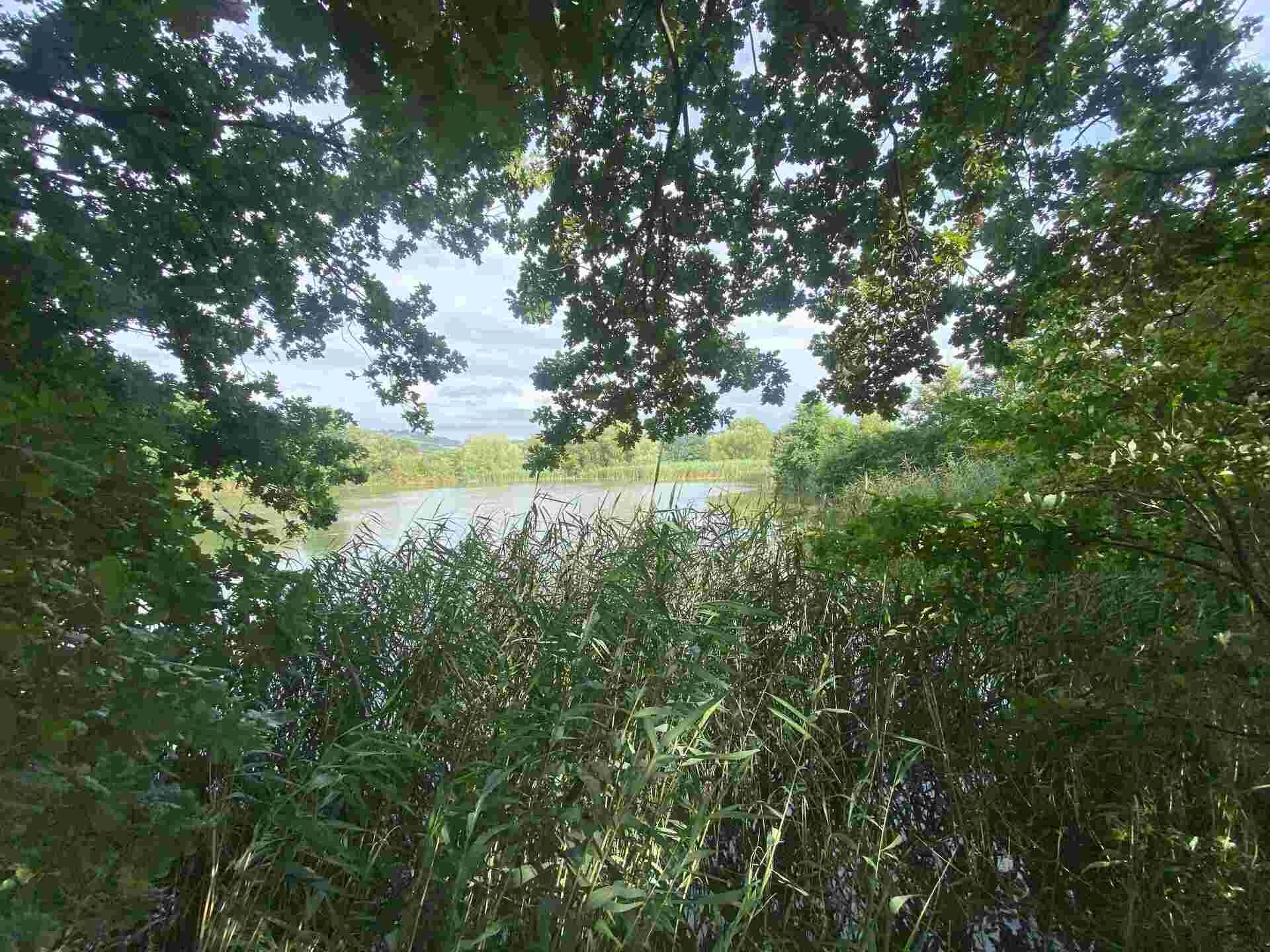 Prodej pozemku Hranice u Malče