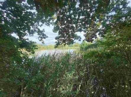 Prodej pozemku, ostatní, 6 901 m²