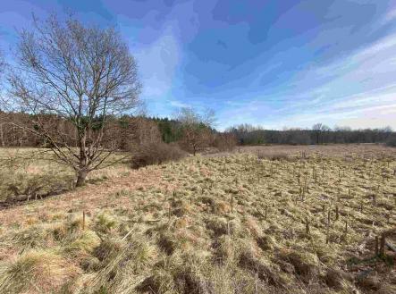 Prodej pozemku, zemědělská půda, 15 408 m²