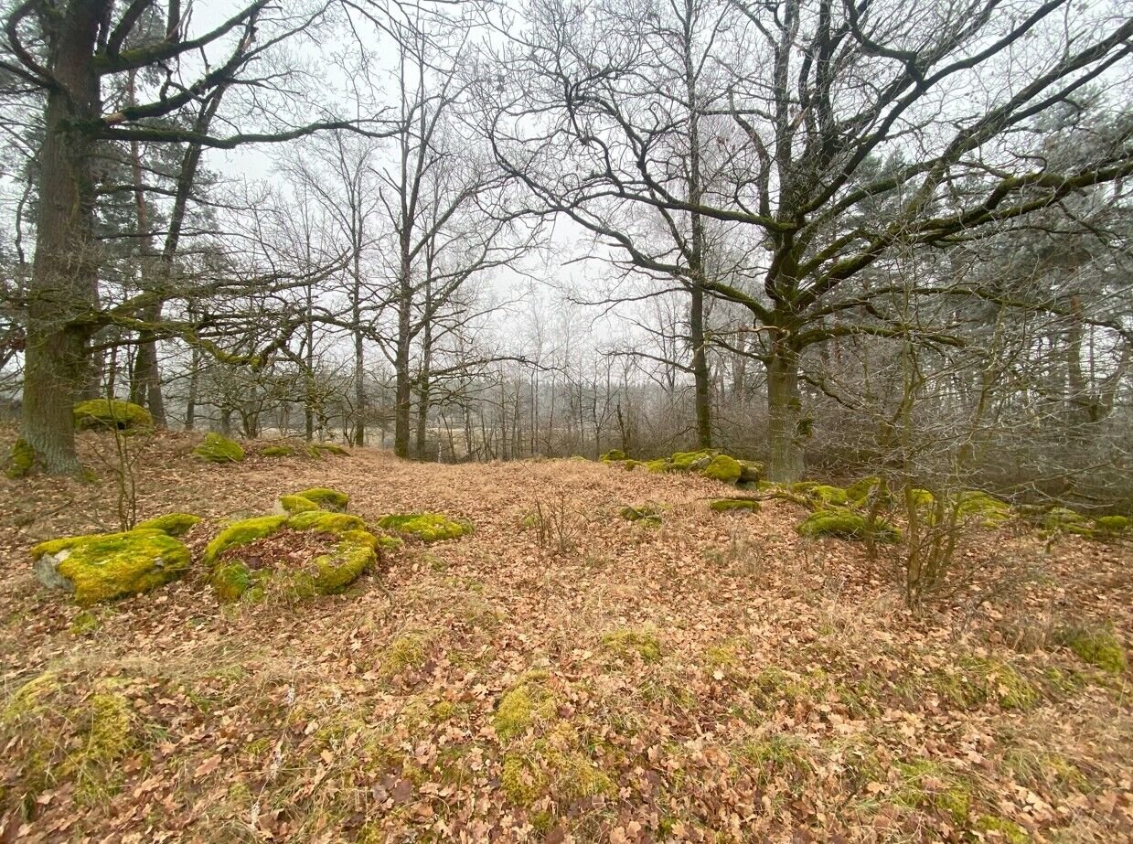 prodej pozemků k.ú. Slatina u Horažďovic