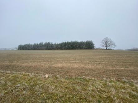 Prodej pozemku, zemědělská půda, 11 302 m²