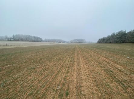 Prodej pozemku, zemědělská půda, 11 302 m²