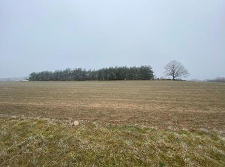 Prodej pozemku, zemědělská půda, 13 059 m²