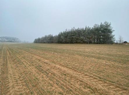 Prodej pozemku, zemědělská půda, 13 059 m²