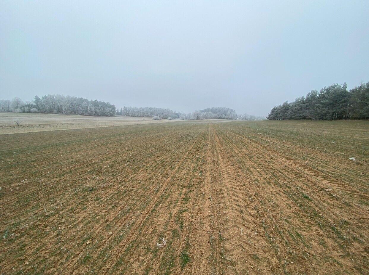 prodej pozemků Slatina u Horažďovic