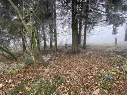 Prodej pozemku pro bydlení, 2 192 m²