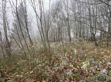 Prodej pozemku pro bydlení, 2 192 m²