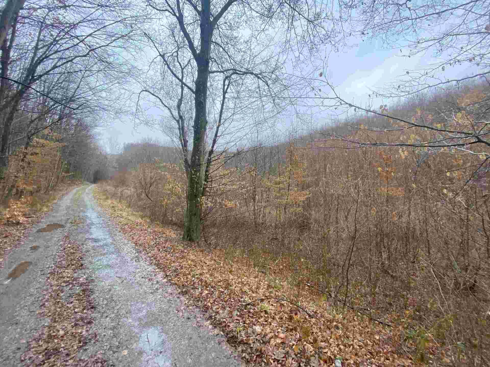 Prodej pozemků Ždánice