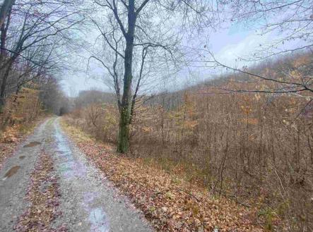 Prodej pozemku, zemědělská půda, 3 207 m²