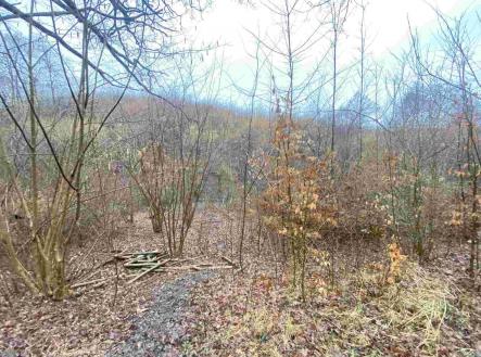 Prodej pozemku, zemědělská půda, 3 207 m²