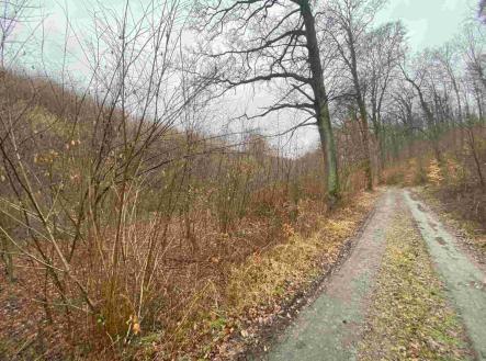 Prodej pozemku, zemědělská půda, 3 207 m²