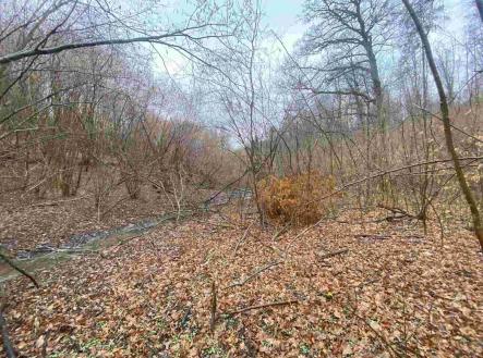 Prodej pozemku, zemědělská půda, 3 207 m²