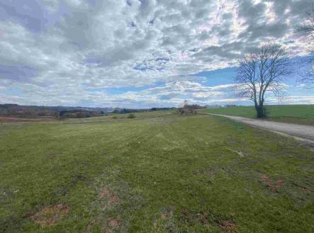 Prodej pozemku, zemědělská půda, 13 129 m²