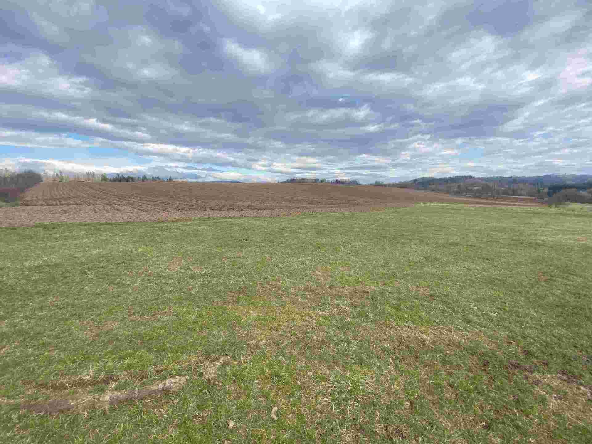 prodej pozemků k.ú. Příkrý