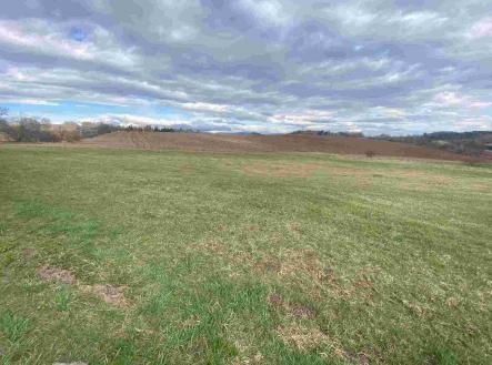 Prodej pozemku, zemědělská půda, 13 129 m²