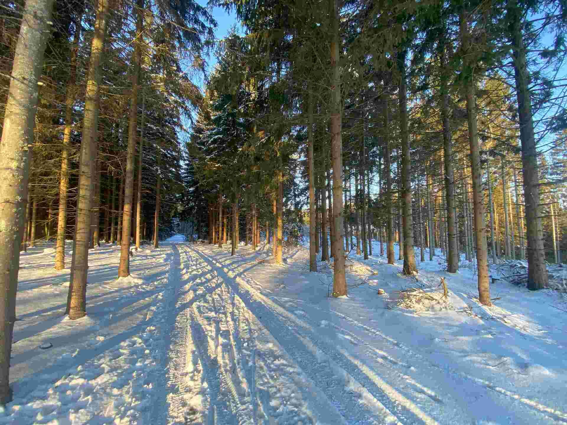 prodej pozemku k.ú. Frýdštejn