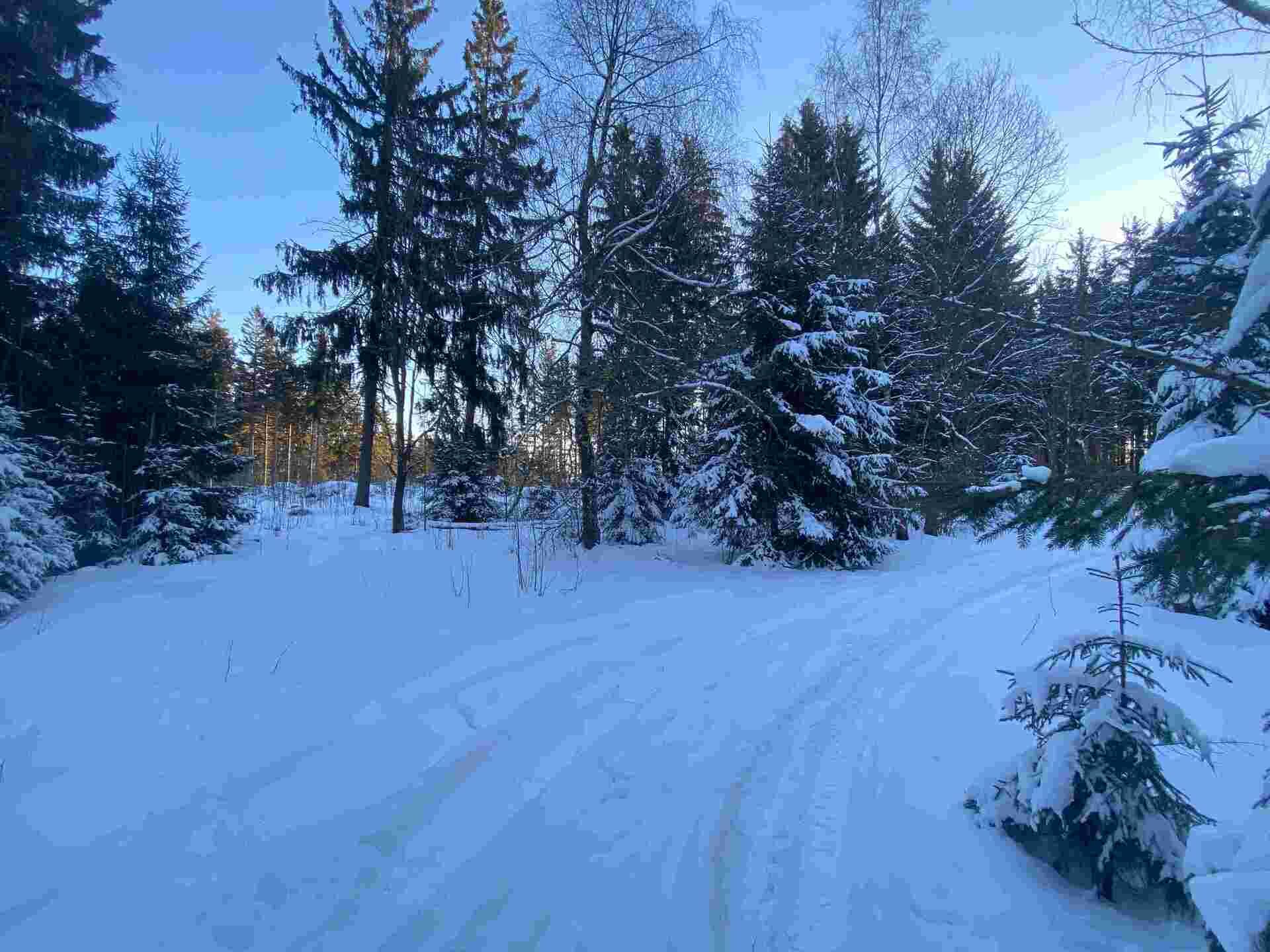 prodej pozemku k.ú. Frýdštejn