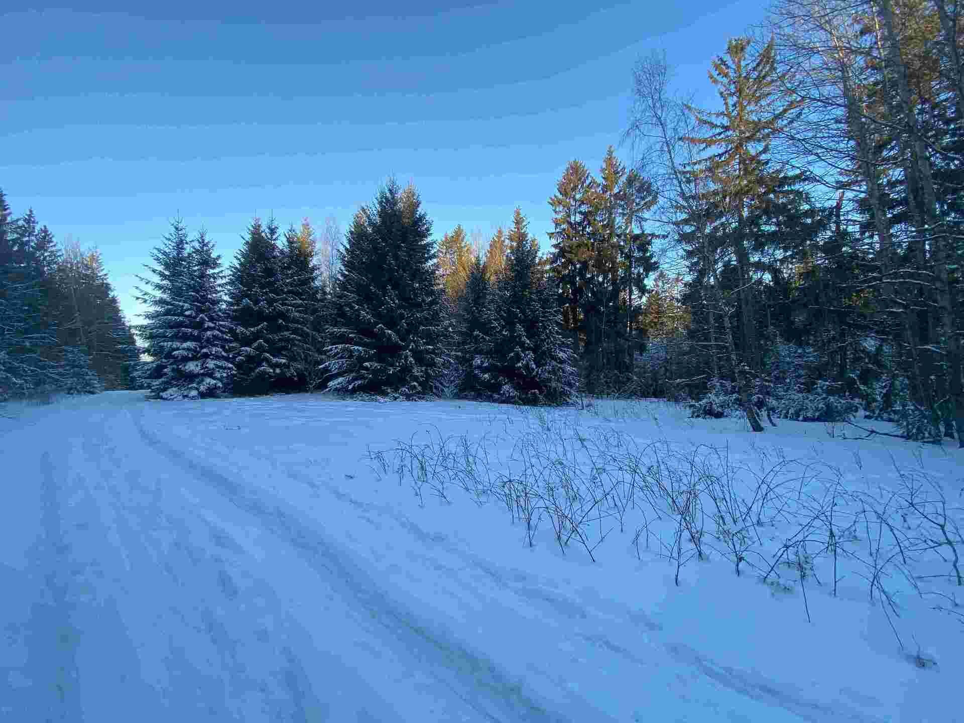 prodej pozemku k.ú. Frýdštejn