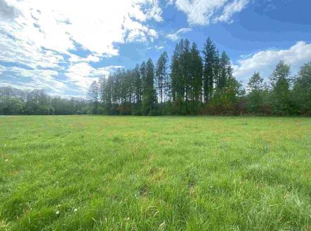 Prodej pozemku, ostatní, 7 130 m²