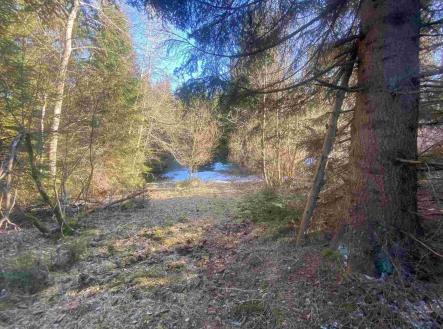 Prodej pozemku, ostatní, 2 391 m²