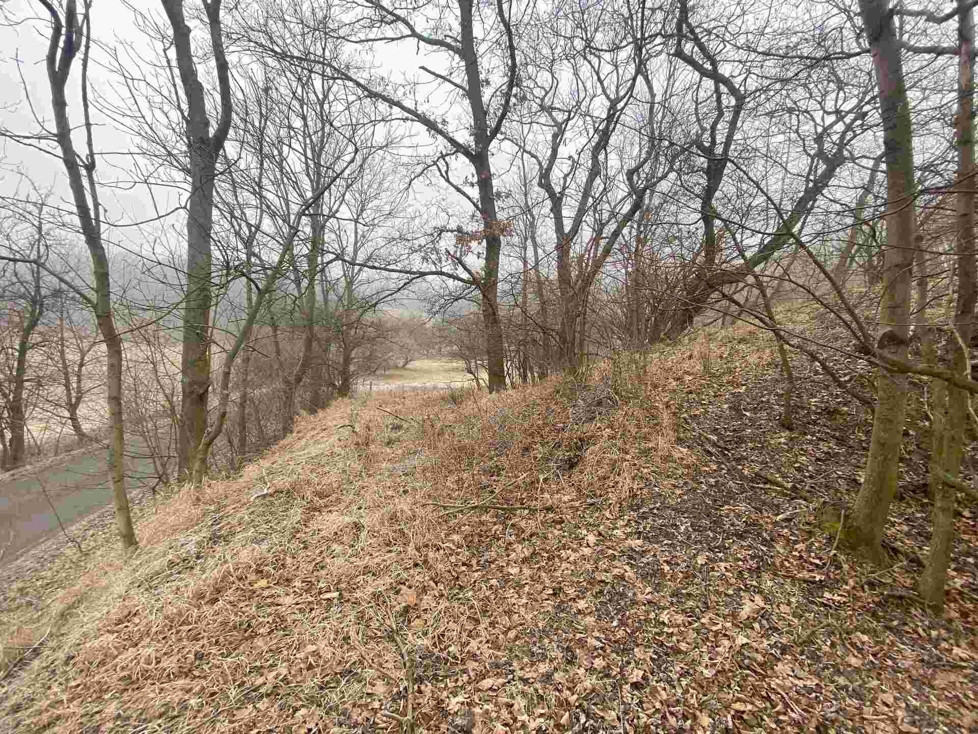 prodej pozemku k.ú. Medvědice