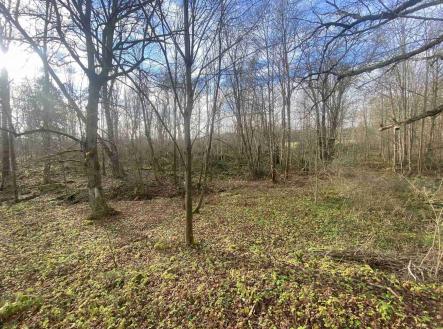 Prodej pozemku pro bydlení, 1 074 m²