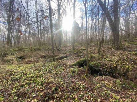 Prodej pozemku pro bydlení, 1 074 m²