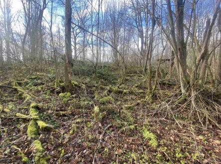 Prodej pozemku pro bydlení, 1 074 m²