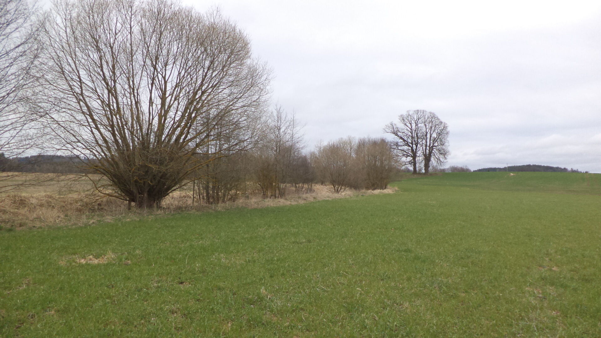 Prodej pozemků Dolní Radouň