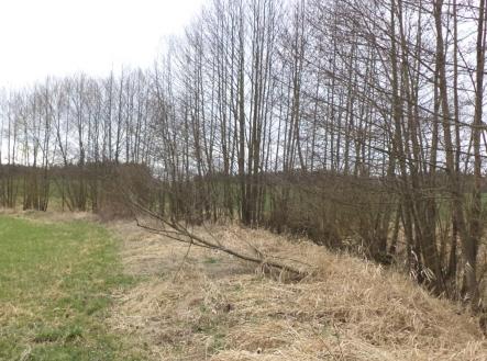 Prodej pozemku, zemědělská půda, 11 340 m²