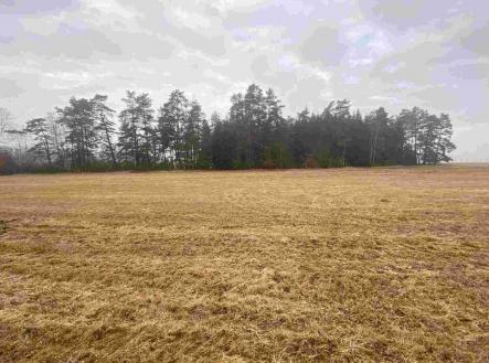 Prodej - pozemek, zemědělská půda, 7 435 m²