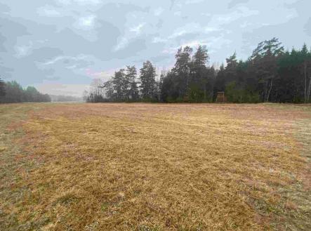 Prodej - pozemek, zemědělská půda, 7 435 m²