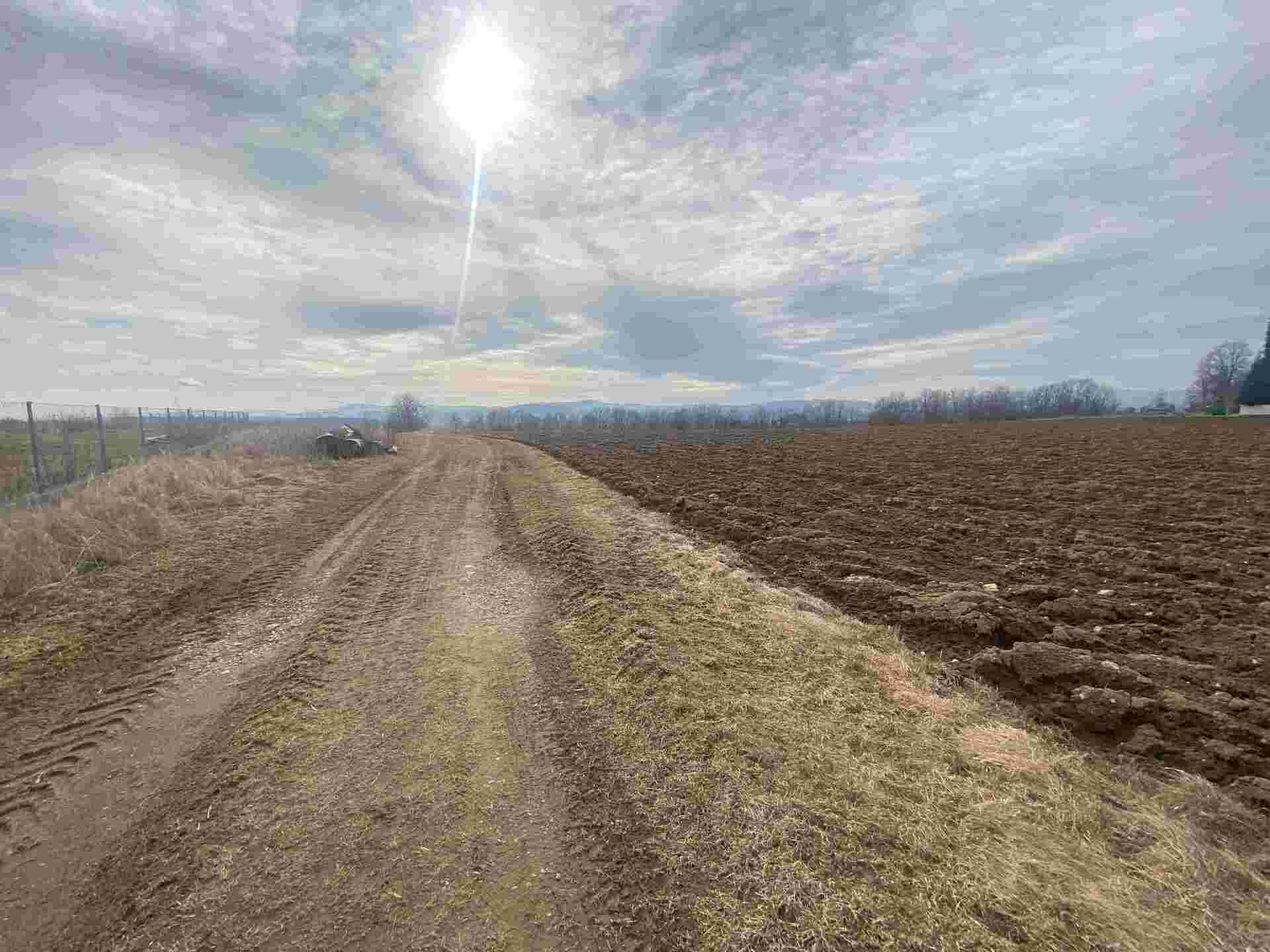 Prodej pozemků Střížov nad Malší