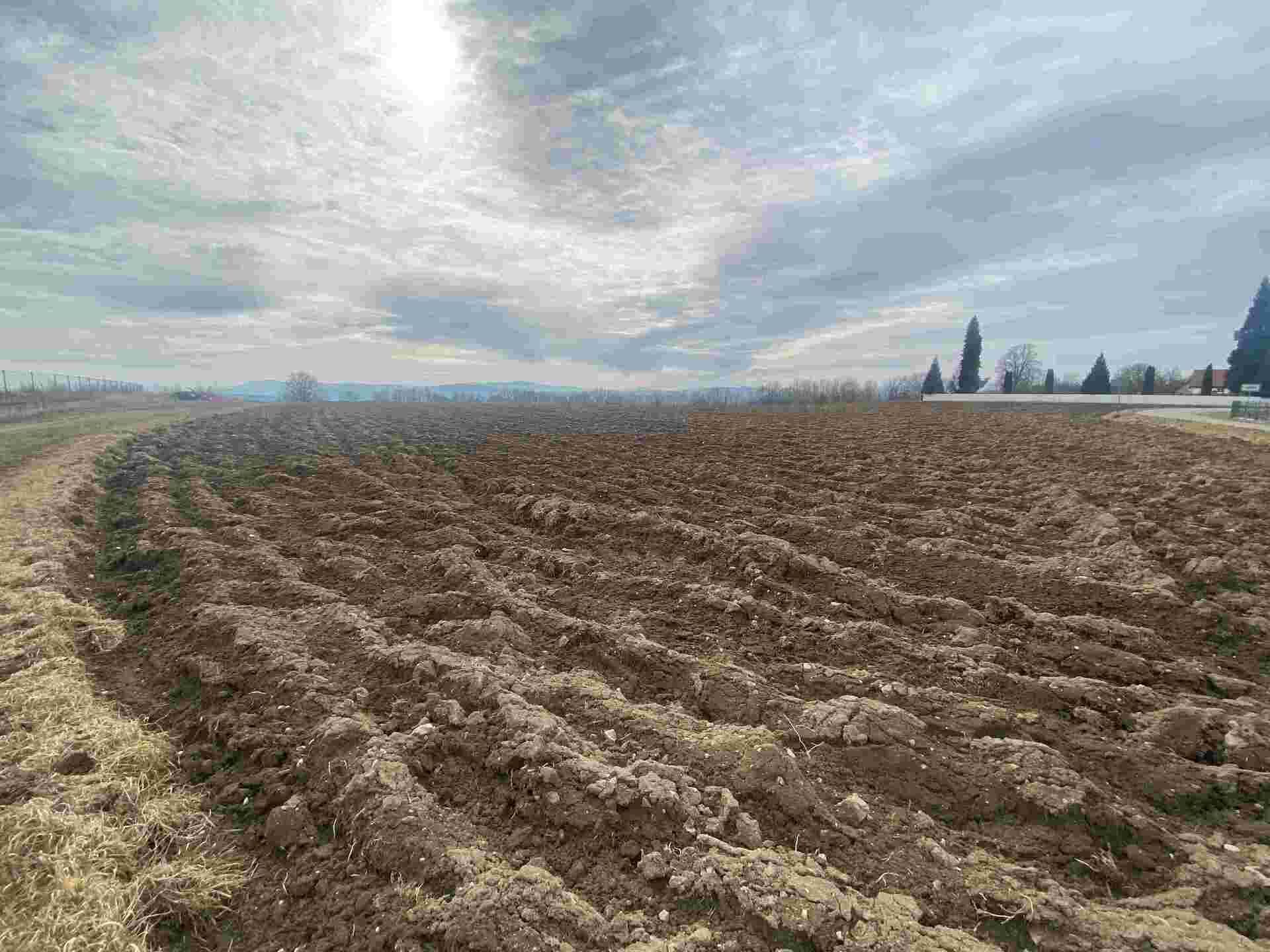 Prodej pozemků Střížov nad Malší